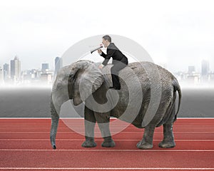 Businessman with using speaker riding on walking elephant