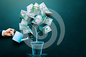 the businessman is watering money tree made by us dollar bills. Business, saving, growth, economic concept. Investors