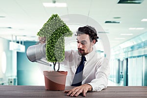 Businessman that watering a plant with a shape of arrow. Concept of growing of company economy .