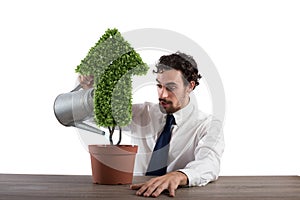 Businessman that watering a plant with a shape of arrow. Concept of growing of company economy .