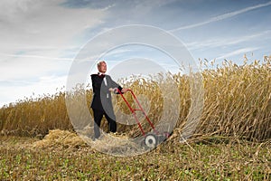 Businessman in Wheat Field