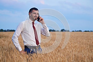 businessman in a wheat field talking on the phone