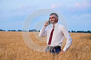 businessman in a wheat field talking on the phone