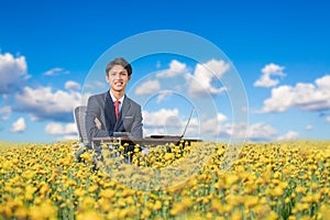 Businessman working outdoor in flower field