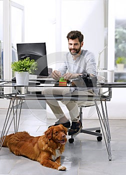 Businessman working at pet-friendly workplace