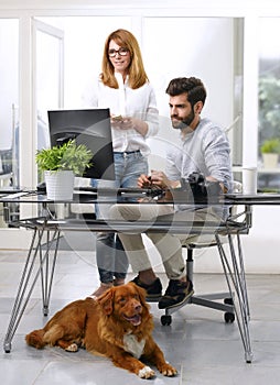 Businessman working at pet-friendly workplace