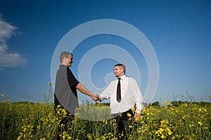 Businessmans shaking hands