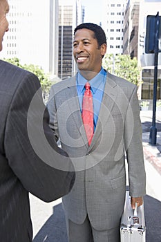 Businessmen Shaking Hand With Partner