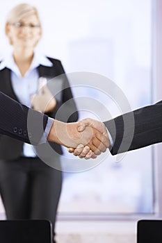 Businessmen shaking hands