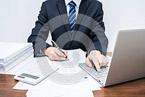 Businessmen who is using computer accounting