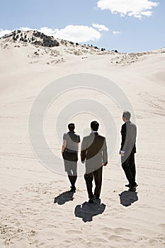 Businesspeople in the desert