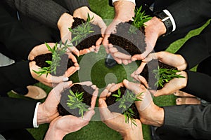 Businesspeople hands with plant and soil