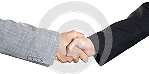 Businesspeople handshake 2