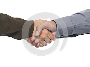 Businesspeople - handshake