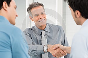 Businesspeople Shaking Hand