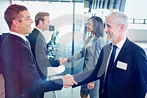 Businesspeople shaking hands with each other