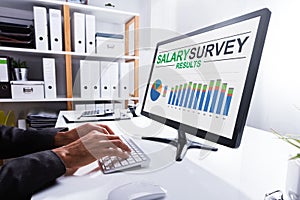 Businessperson Analyzing Salary Survey Results On Computer