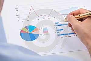 Businessperson Analyzing Statistic Chart