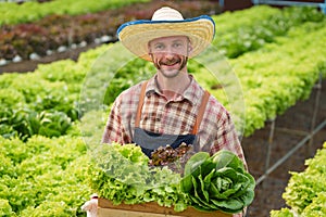 Businessperson or farmer checking hydroponic soilless vegetable in nursery farm. Business and organic hydroponic