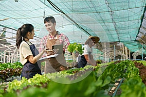 Businessperson or farmer checking hydroponic soilless vegetable in nursery farm. Business and organic hydroponic