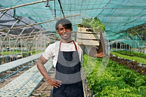 Businessperson or farmer checking hydroponic soilless vegetable in nursery farm. Business and organic hydroponic