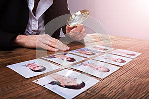 Businessperson Looking At Candidate`s Photograph