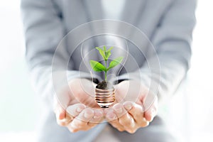 Businesswoman hold Light Bulb with soil and green plant sprout