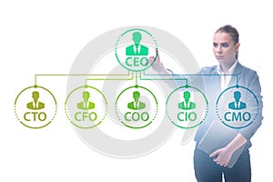 Businesswoman in the organisation chart concept