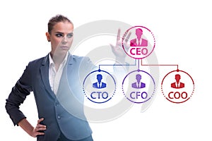 Businesswoman in the organisation chart concept