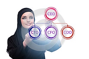 Businesswoman in the organisation chart concept