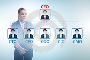 Businesswoman in the organisation chart concept