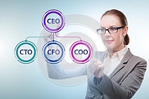 Businesswoman in the organisation chart concept