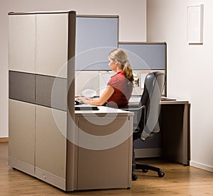 Businesswoman typing on computer at desk