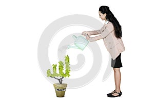 Businesswoman watering plant with profit word