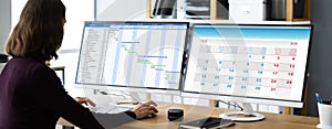 Businesswoman Working On Gantt Chart Using Computer