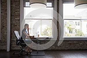 Businesswoman Working On Laptop And Making Phone Call