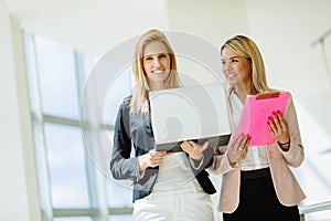 Businesswomen discussing plans in company