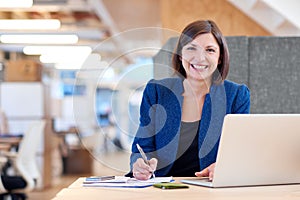 Busineswoman smiling broadly while working in her office cubicle photo