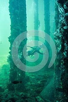 Busselton Jetty Artificial Reef with Scuba Diver