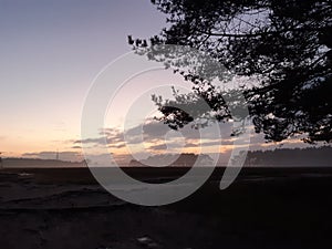 Bussumer heide sunset tree
