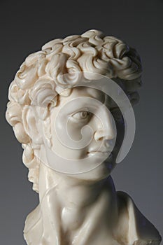 Bust of David Replica