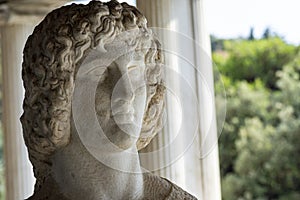 Bust of Greek god Hercules