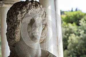 Bust of Greek god Hercules photo