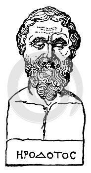 Bust of Herodotus, vintage illustration