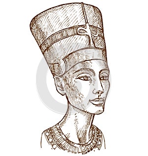 Bust of Nefertiti hand drawn