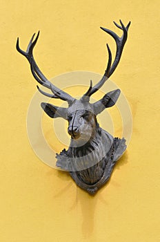 Bust of a Stag