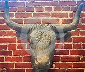 Bust of a steer hangs on the wall of the Pioneer Woman Mercantile