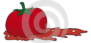 Busted tomato on the floor over white background, Vector illustration