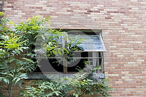 Busted windows of abandoned building