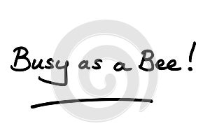 Busy as a Bee